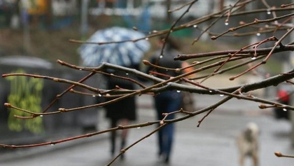 Холода.Нудный дождь в конце апреля,Мокрый снег в начале дня.А недавно птицы пели,Песни тронули ...