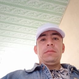 Toha, �����������, 31 ���