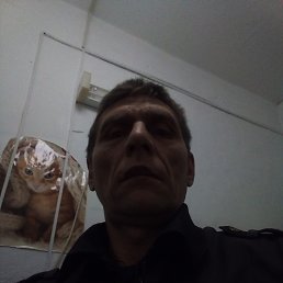 , 49, -
