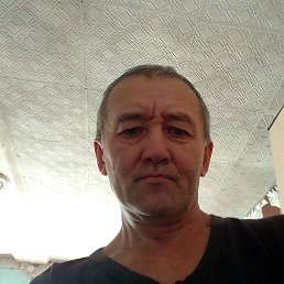 , 54, 