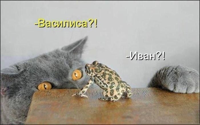    - 10  2022  23:12