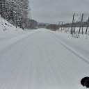  , , 37  -  31  2022    