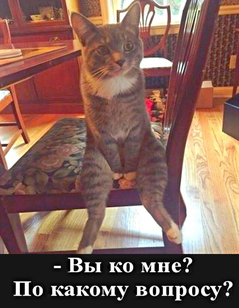 ***Victoria Viktorovna*** - 22  2022  03:37