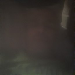 �����������, ���������, 54 ����