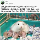  , , 63  -  26  2022   -