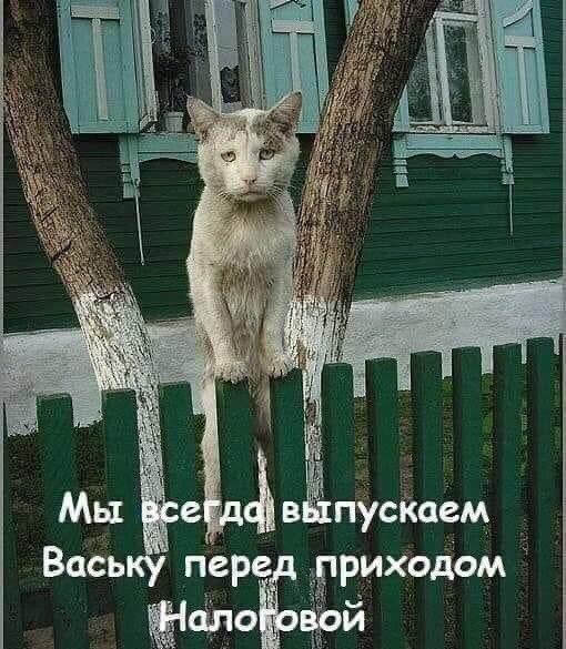 Геннадий - 30 июля 2022 в 11:50