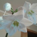 ���� ������, ���������, 62 ���� - ��������� 13 ������ 2023