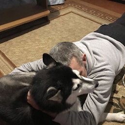 �������, ������, 51 ���