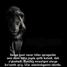 Janob, , 21 