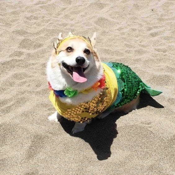  !