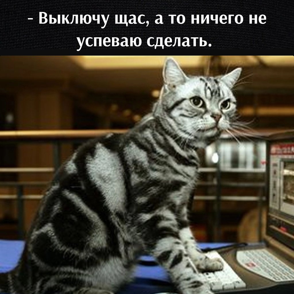       - 16  2023  15:13 - 3