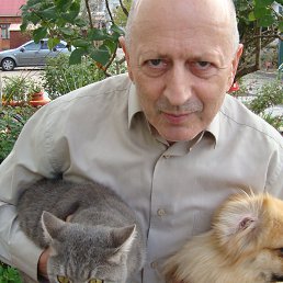 ���� ������, ��������� - ��������� 1 ������� 2022