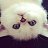  Meowriessi, , 25  -  5  2023