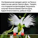 ���� ������, �����-���������, 64 ���� - ��������� 19 ������ 2022 � ������ ������ ��������