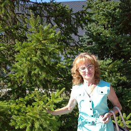 ���� ������, ������-��-����, 62 ���� - ��������� 4 ������� 2023