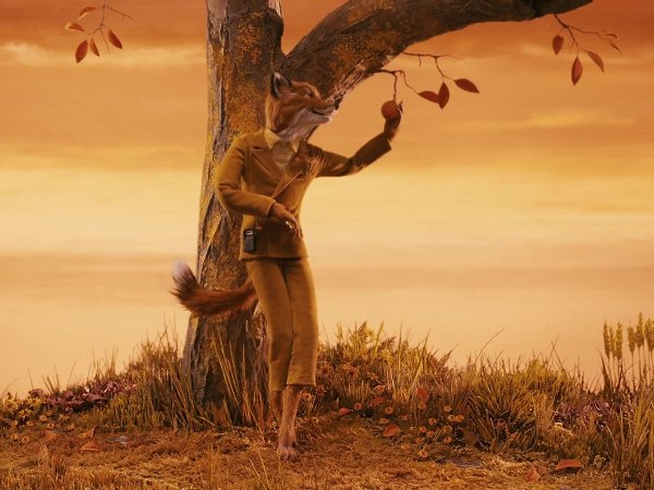 С первым днем осени! Кадры из фильмов: 1. Бесподобный мистер Фокс / Fantastic Mr. Fox — Уэс ...