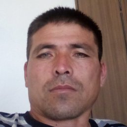 �����, ��������, 46 ���