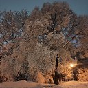 ���� ��� ������, �����-���������, 24 ���� - ��������� 20 ������� 2023 � ������ ���� ����������