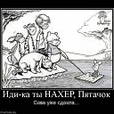 ���� �������, ������, 43 ���� - ��������� 2 ������� 2022 � ������ ���� ����������
