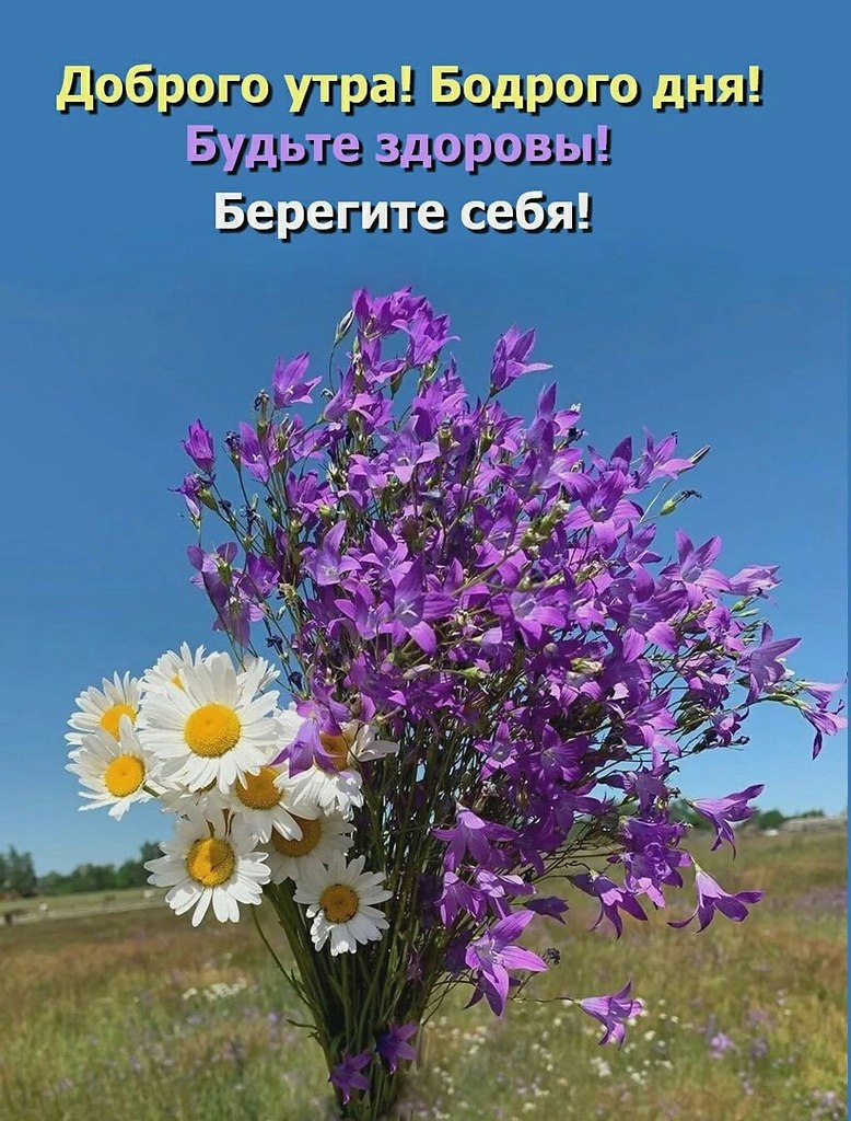   ,    . - 17  2022  09:22