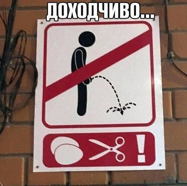 ������ - 8 ������� 2022 � 16:35