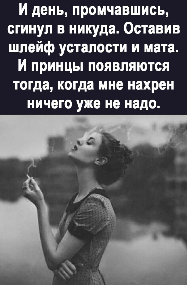 - 12  2022  13:23