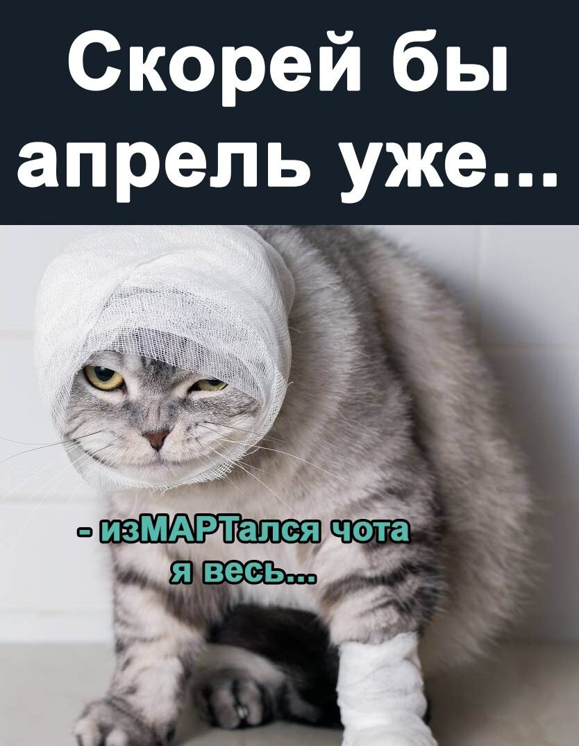 ***Victoria Viktorovna*** - 31  2022  04:08