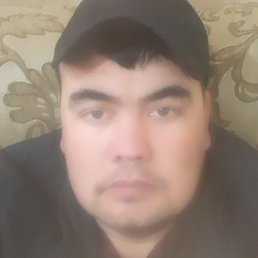 , , 31 