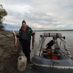 ���������, ����, 55 ���