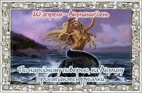   ,    . - 19  2022  23:51 - 2