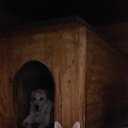  , , 48  -  7  2022     .