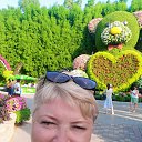 ���� �������, ������ ��������, 56 ��� - ��������� 1 ������� 2023