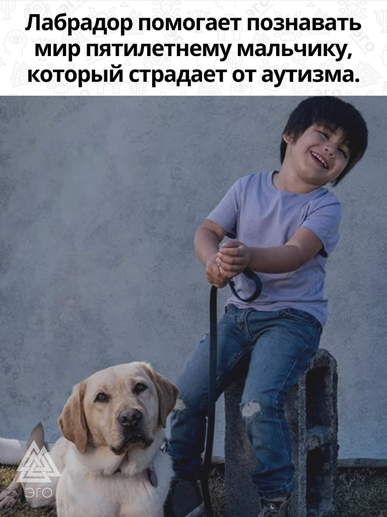      ,         ...