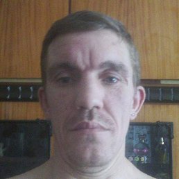 ����, ������, 41 ���