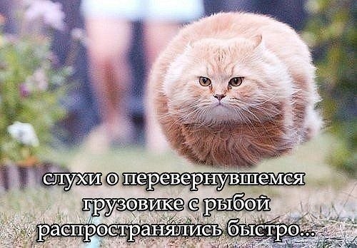   - 23  2022  16:38