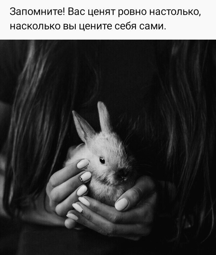 ***Victoria Viktorovna*** - 18  2022  17:21