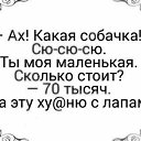 ���� ������, �������, 44 ���� - ��������� 12 ������� 2022 � ������ ���� ����������