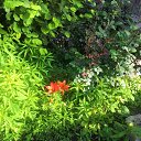 ���� Ded, ������, 59 ��� - ��������� 7 ���� 2022 � ������ ���� ����������