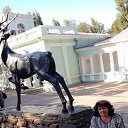 ���������� ������� �� ������� ���� ����������