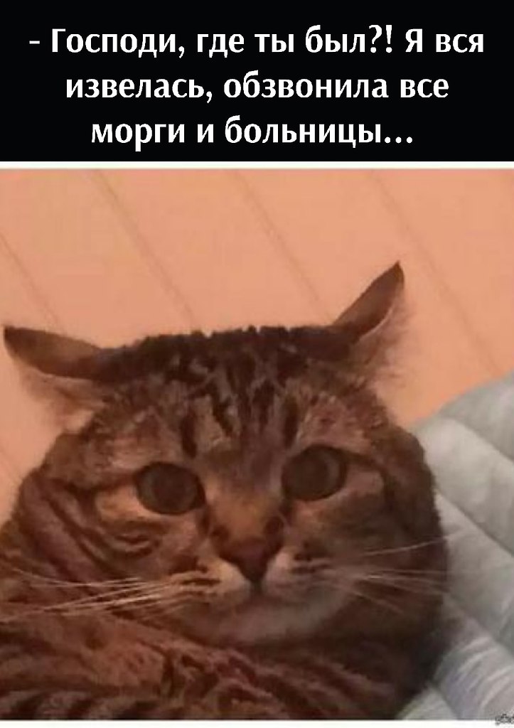 ��� ���� � ����� �� �� - 26 ����� 2022 � 13:05