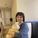 ���� ����, �����, �����, 61 ��� - ��������� 17 ������ 2022