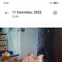 ���� ���� 19����67����., ������-��-����, 58 ��� - ��������� 11 ������ 2023 � ������ ���� ����������