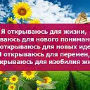 ���� �����, ������ �������� - ��������� 8 ��� 2022 � ������ ������ ��������