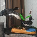 ������ ( ��� �������� � ������� �������) �� ������� ���� ������