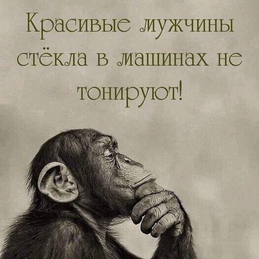 ***Victoria Viktorovna*** - 29  2022  03:55