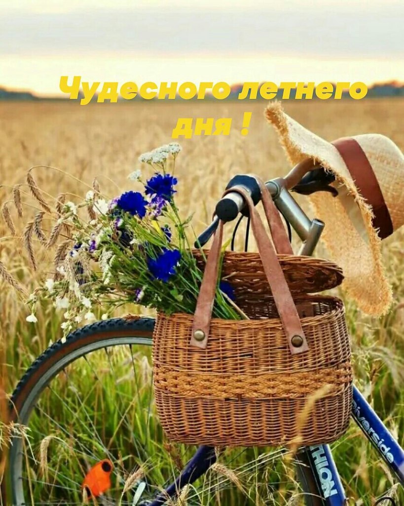   ,    . - 3  2022  13:44