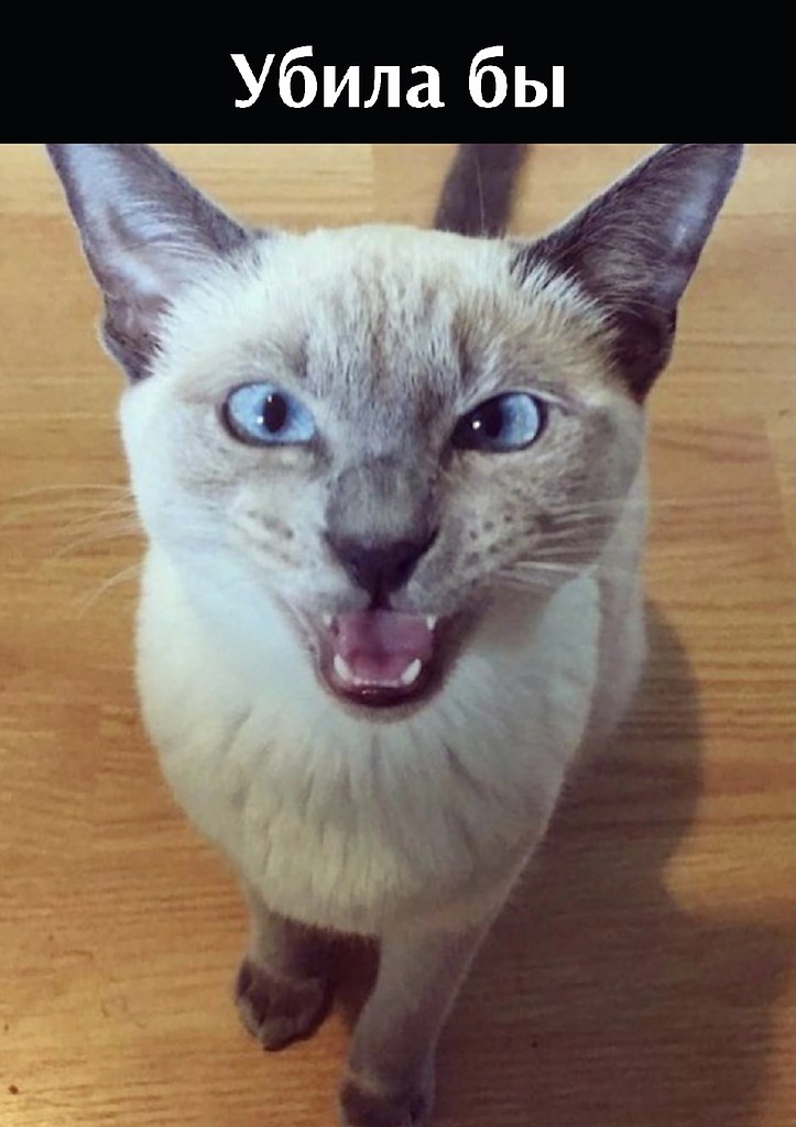 ��� ���� � ����� �� �� - 21 ��� 2022 � 19:15