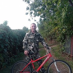 ���������, ������, 43 ����