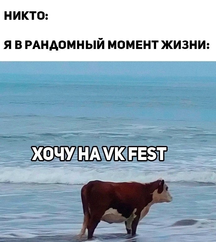        . VK Fest! !   ! : ...