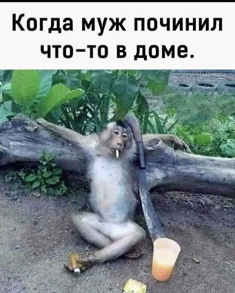   ! - 16  2022  20:39